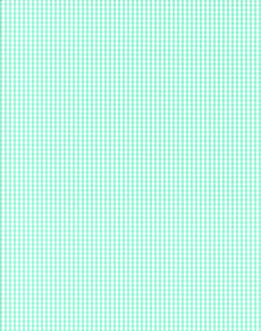 a|s cardstock - gingham bermuda