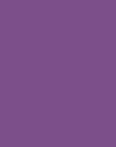 a|s cardstock - grape