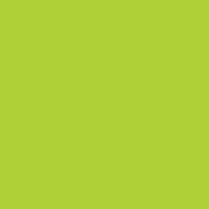 a|s shimmer cardstock - lime