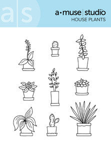 house plants